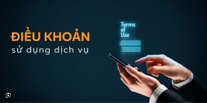 Tầm quan trọng của các điều khoản tại nhà cái 